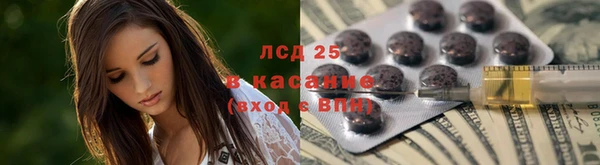 прущие крисы Болохово
