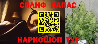 гидропоника Гусев