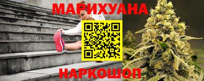 гидропоника Гусев