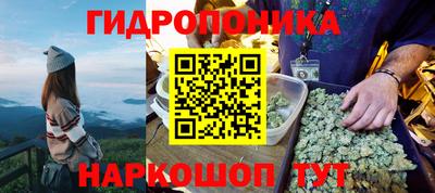 гидропоника Гусев