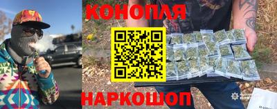 гидропоника Гусев