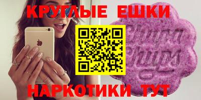 гидропоника Гусев