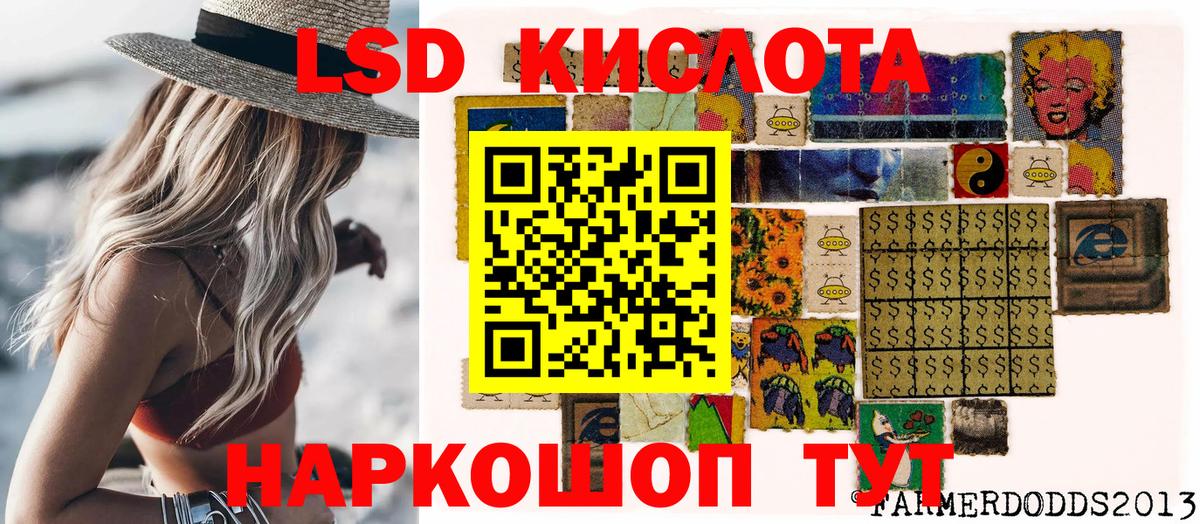 A-PVP Котлас