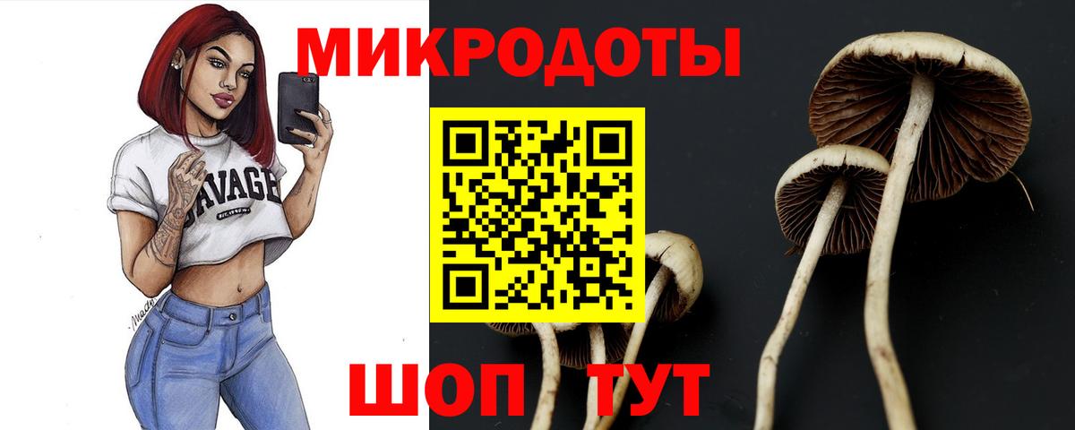 Псилоцибиновые грибы ЛСД  Галлюциногенные грибы GOLDEN TEACHER  Вход с VPN  Котлас 