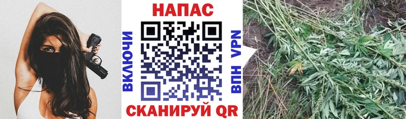 Марихуана марихуана  мориарти как зайти  Котлас 
