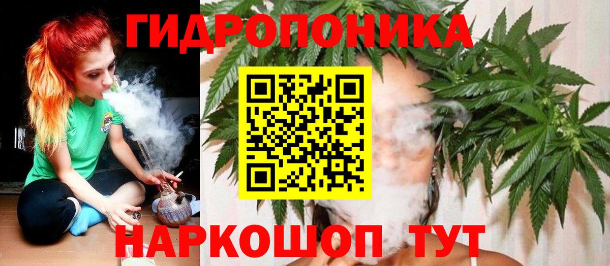 Марихуана SATIVA & INDICA  Вход с VPN  Котлас  Канабис конопля  Каннабис MAZAR 
